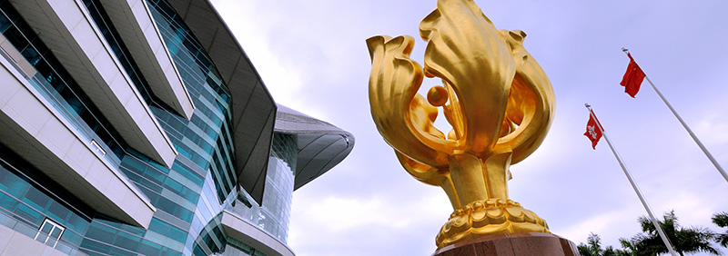 Image of Golden Bauhinia Square